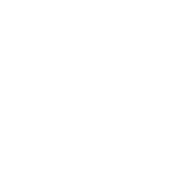 Inversiones | Marcela Cazarez